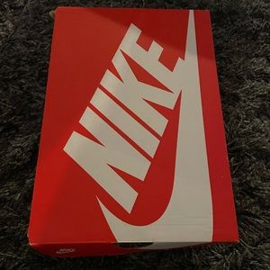 Jordan dunk high wolf grey
